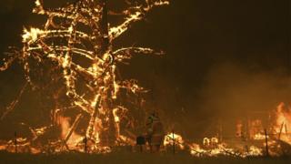 Bilpin fire, NSW