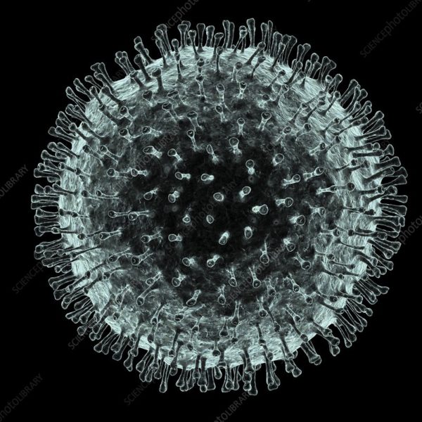 Coronavirus spreading all over the world